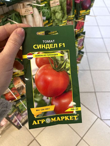 томат Синдел F1